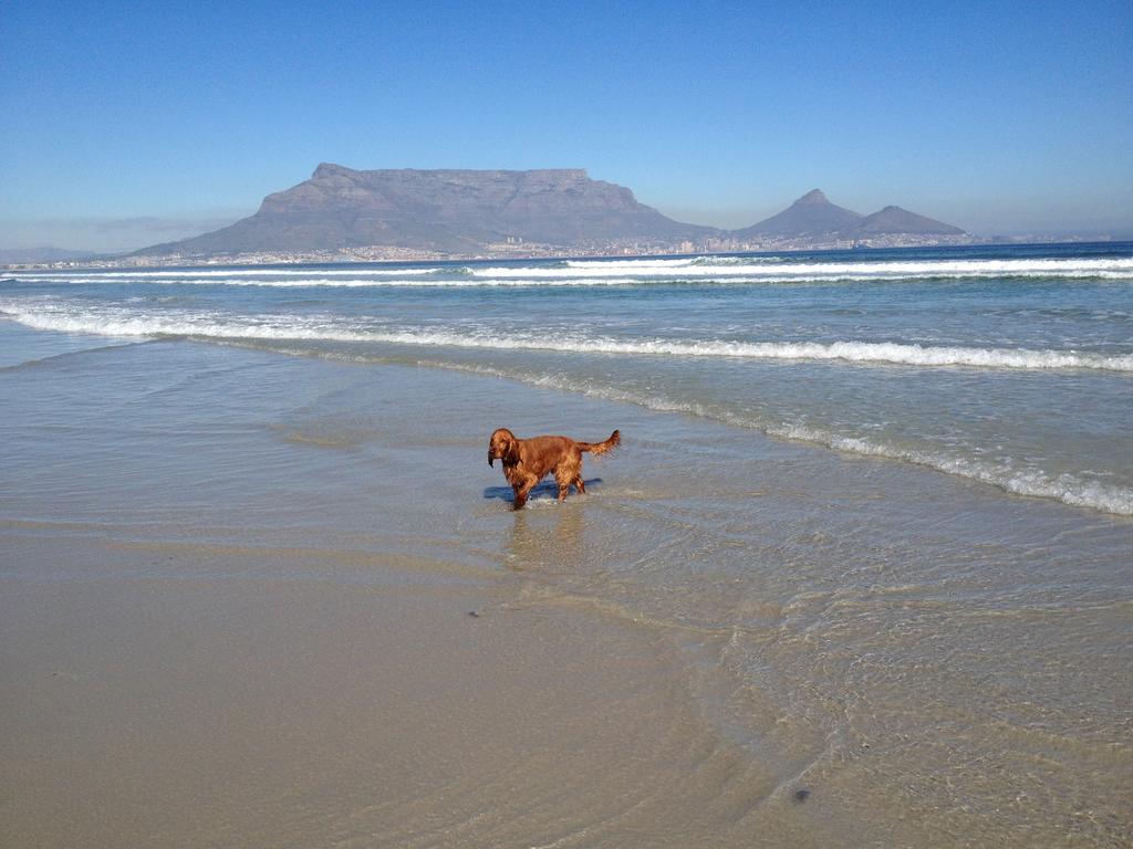 Roman Retreat Cape Town Ngoại thất bức ảnh